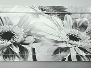 Wandbild Sonnenblumen-Blüten s/w 120x60 cm - Geilenkirchen