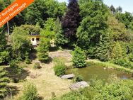 Wochenendhaus mit Fischweiher in Ortsrandlage von Pluwig - Pluwig