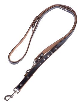 Heim Vorführleine Stars - 200 cm lang, 18 mm breit