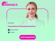 Teamleiter:in Finanzbuchhaltung (m/w/d) - Rosche