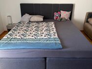 Boxspringbett - Kehl