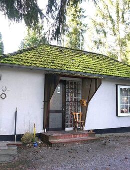 *** Wohnhaus mit großem Gartengrundstück in Munster zu verkaufen*** - Munster