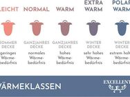 Excellent Daunenbettdecke Zürich, Bettdecken für Sommer und Winter, Decke, Füllung: 100% Daunen, Bezug: 100% Baumwolle, Bettdecke 135x200 cm, 155x220cm und weitere Größen, Made in Germany