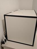 Vogelspinnen Theraphosa Blondi und Stirmi in 58089