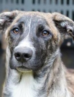 Mercurio möchte glücklich werden - Neuss