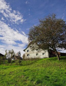 Ruheoase für Kreative und Naturfreunde - Grundstück in Herdwangen-Schönach - Herdwangen-Schönach