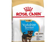 Sparpaket Royal Canin - Yorkshire Terrier Puppy (3 x 1,5 kg)