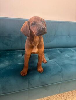 Interne J - wo gehöre ich ab jetzt hin - Overath