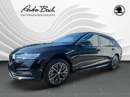 Skoda Octavia, 2.0 TDI Combi Style, Jahr 2022 - Diez