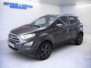 Ford EcoSport 1.0 COOL&CONNECT KLIMA+NAVI+Winterpaket - Freiburg (Breisgau)