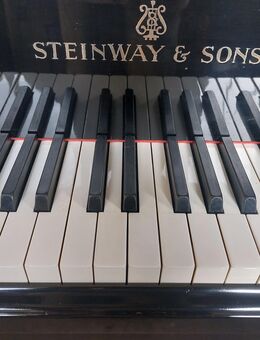 Steinway & Sons Flügel S schwarz - Solingen (Klingenstadt)