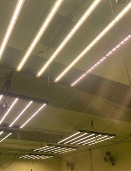 Lumatek 600 W Zeus 2.9 & 2.7 - Köln