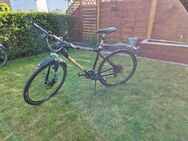 Fahrrad 28" Mountec Freerider Alu - Belm