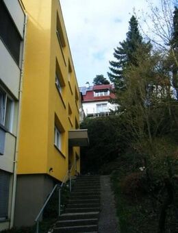 1 Zi. Appartment in Konstanz-Wollmadingen - Konstanz