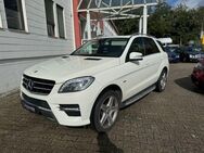 Mercedes-Benz ML 350 M -Klasse CDI AHK BlueTEC AMG PDC SHZ - Wuppertal