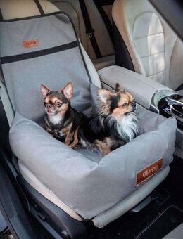 Hundesitz Hundebett & Transportbett 2in1 Autositz GRAVUR mit Namensschild Set 4 - Wuppertal
