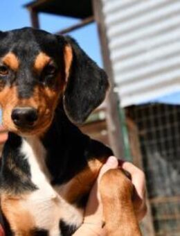 Xenon wünscht sich seine Familie - Neuss