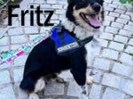 Fritz suchte sich ein Frauchen aus - Berlin