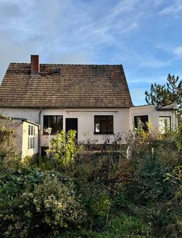 Haus im Dornröschenschlaf - Naunhof