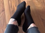 Geile stinkende Socken - Giengen (Brenz)