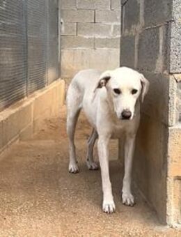 Wer schenkt Marta sein Herz? - Neuss