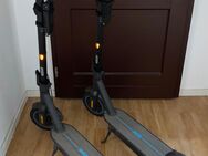 Verkaufe meine beide escooter Ninebot g30d II (einzeln möglich) - Böhlen (Sachsen)