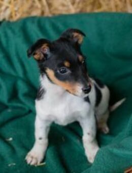 257371 - kommt mit raus und spielen - Overath