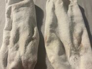 M/20 verkauft seine Socken 🧦 - Hannover