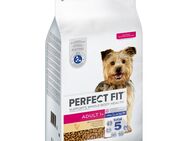 Perfect Fit Adult Hund (