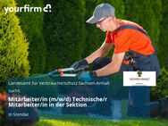 Mitarbeiter/in (m/w/d) Technische/r Mitarbeiter/in in der Sektion - Stendal (Hansestadt)