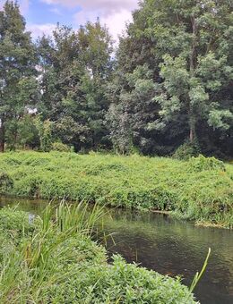 Liebevolle Beziehung gesucht - Berlin Steglitz-Zehlendorf