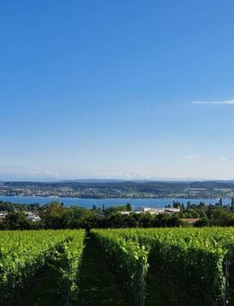 schöne Eigentumswohnung in Überlingen mit Seeblick Bodensee zu verkaufen - Baden-Baden