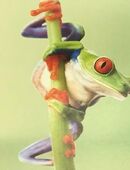 Erzieher / Sozialpädagoge / Heilerziehungspfleger/ Heilpädagogen / Pflegefachkraft / Pädagogische Fachkraft für den Kinder und Jugendbereich in TZ oder Minijob (m/w/d) in 45138 Essen gesucht! in 44805