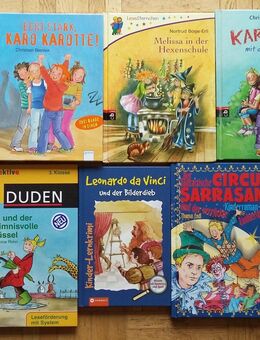 gebundene Bücher Kind Jugend Schwestern, Karo Karotte, Hexenschule, Karla, Hexe Lilli, Leseförderung, Lernkrimi Circus, Salamander - Krefeld