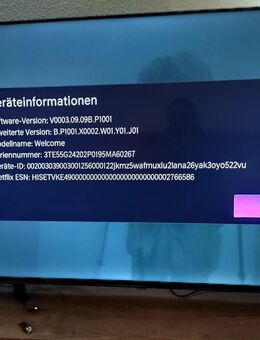 Hisense TV Fernseher 55 Zoll - Berlin