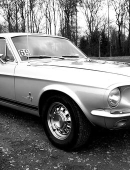 1967 Ford Mustang, silber, Coupé, 5,8l V8 351 cui Windsor, Servolenkung, Automatik - Babenhausen (Hessen)