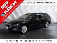 Skoda Octavia, 2.0 TDI Combi Style, Jahr 2024 - Berlin