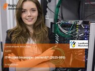 IT-Projektmanager (m/w/d)* (2025-095) - München