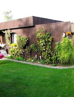 gepflegtes Ferienhaus mit Bootsliegeplatz am Kummerower See - Sommersdorf (Mecklenburg-Vorpommern)