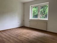 Schöne 1-Zimmer Erdgeschosswohnung mit neuen Bodenbelägen zu vermieten - Melsungen