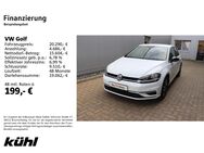 VW Golf, 1.6 TDI VII IQ DRIVE, Jahr 2020 - Hildesheim