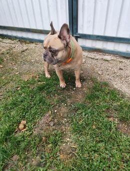 ARCI - einfach mein Glück wiederfinden - Overath