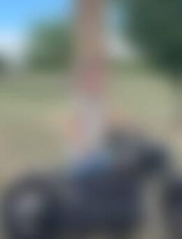 Ste*** - Sprendlingen