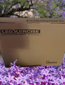 LEGXCERCICES Professional Neu & OVP - Reichelsheim (Odenwald)