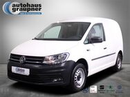 VW Caddy, 2.0 TDI Kasten, Jahr 2020 - Brandis