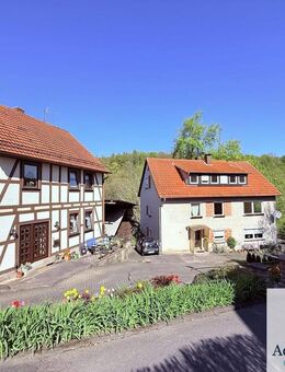 Vielseitiges Anwesen mit 2 Wohnhäusern, Ställen und über 4.000qm Grundstück in Laubach - Hannoversch Münden Zentrum