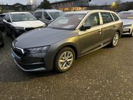 Skoda Octavia, Combi Selection E, Jahr 2024 - Buchholz (Nordheide)