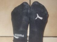 Schwitzige Socken - Seelze