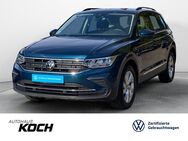 VW Tiguan, 1.5 TSI Life, Jahr 2023 - Schwäbisch Hall