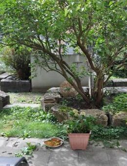 Erdgeschoß, 3 Zimmer, traumhafte Terrasse inklusive. - Nürnberg